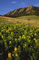 flatirons